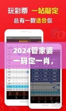 2024管家婆一码定一肖，NXQ932.22版安全评估日常攻略