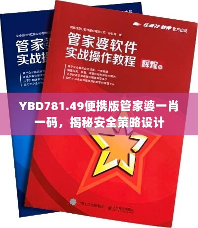 YBD781.49便携版管家婆一肖一码，揭秘安全策略设计