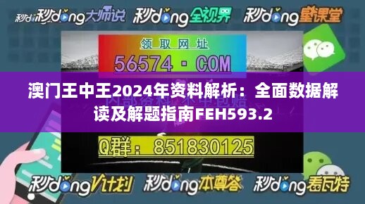 澳门王中王2024年资料解析：全面数据解读及解题指南FEH593.2