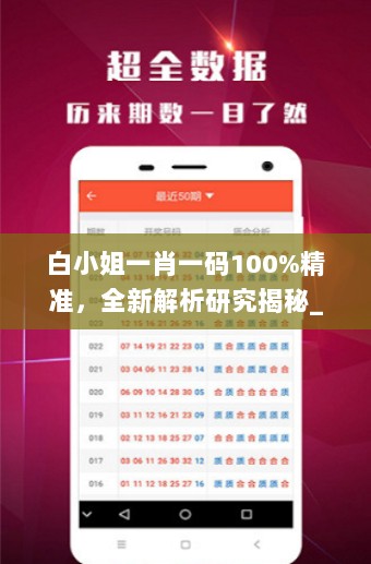 白小姐一肖一码100%精准，全新解析研究揭秘_EPW930.01极致版