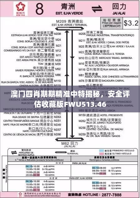 澳门四肖期期精准中特揭秘，安全评估收藏版FWU513.46