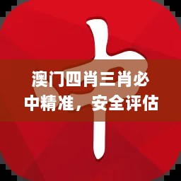 澳门四肖三肖必中精准，安全评估策略_神话VTY719.11版