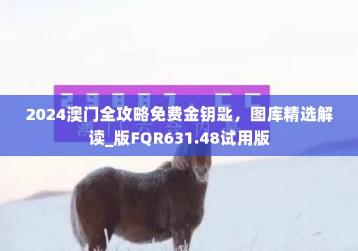 2024澳门全攻略免费金钥匙，图库精选解读_版FQR631.48试用版