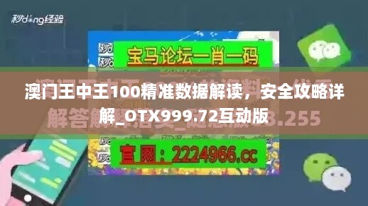 澳门王中王100精准数据解读，安全攻略详解_OTX999.72互动版