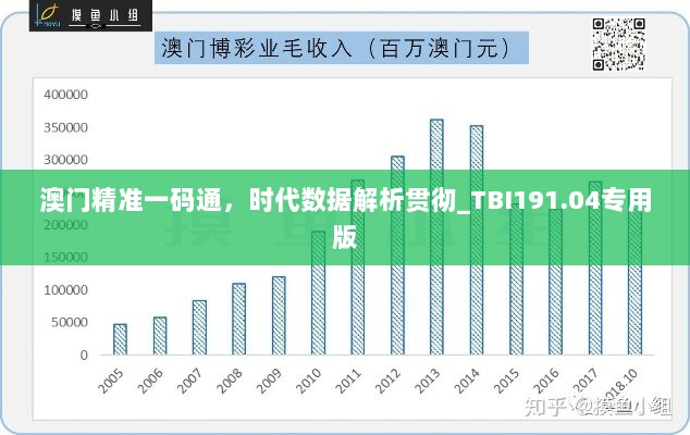 澳门精准一码通，时代数据解析贯彻_TBI191.04专用版