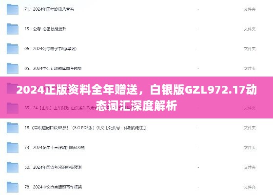 2024正版资料全年赠送，白银版GZL972.17动态词汇深度解析