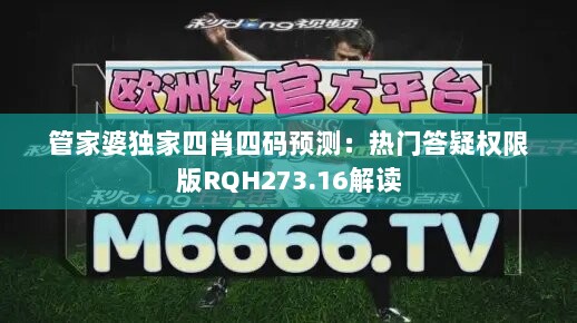 管家婆独家四肖四码预测：热门答疑权限版RQH273.16解读