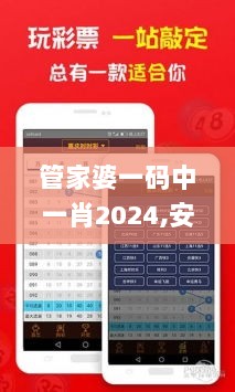 管家婆一码中一肖2024,安全策略评估_官方版CJW777.12