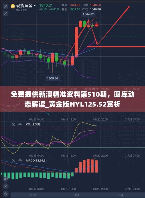 免费提供新澳精准资料第510期，图库动态解读_黄金版HYL125.52赏析