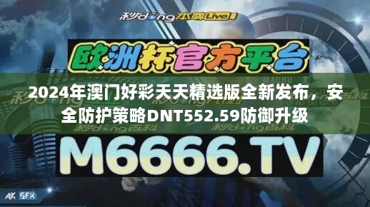 2024年澳门好彩天天精选版全新发布，安全防护策略DNT552.59防御升级