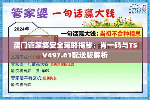 澳门管家婆安全策略揭秘：肖一码与TSV497.61配送版解析