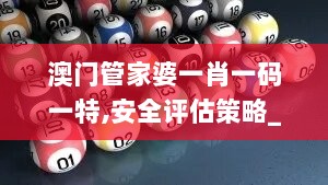 澳门管家婆一肖一码一特,安全评估策略_移动版MQT507.15