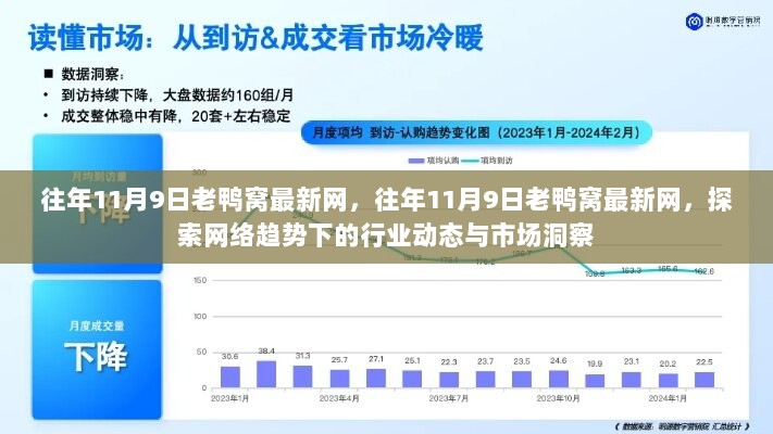 往年11月9日老鸭窝最新网，探索网络趋势下的行业动态与市场洞察