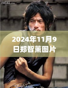 2024年11月9日郑智薰最新图片获取与欣赏步骤指南