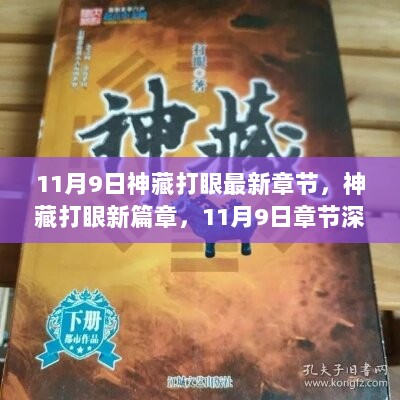 神藏打眼新篇章，11月9日深度解析