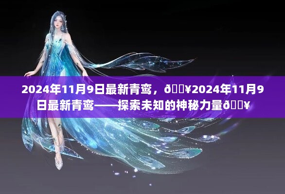 2024年11月9日，探索未知的神秘力量——最新青鸾的启示