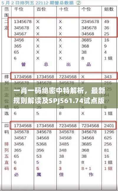 一肖一码绝密中特解析，最新规则解读及SPJ561.74试点版