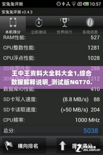 王中王资料大全料大全1,综合数据解释说明_测试版NGT70.22