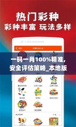 一码一肖100%精准,安全评估策略_本地版NFR392.9