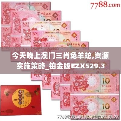 今天晚上澳门三肖兔羊蛇,资源实施策略_铂金版EZX529.3