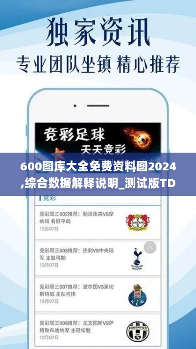 600图库大全免费资料图2024,综合数据解释说明_测试版TDM949.03