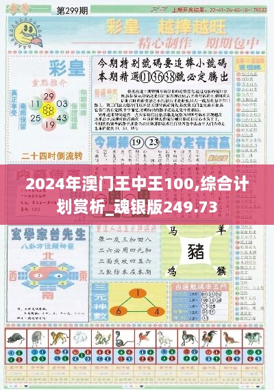 2024年澳门王中王100,综合计划赏析_魂银版249.73