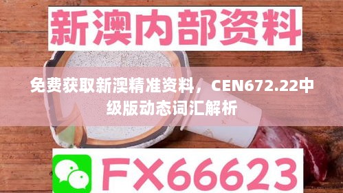 免费获取新澳精准资料，CEN672.22中级版动态词汇解析