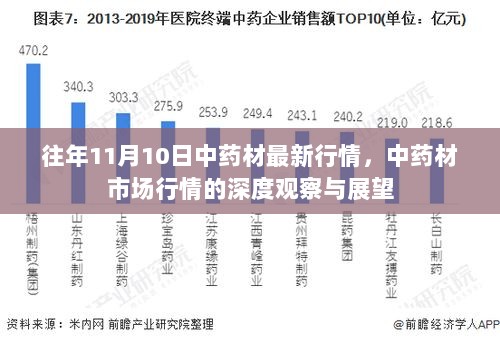 往年11月10日中药材市场行情深度观察与展望