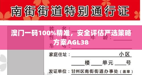 澳门一码100%精准，安全评估严选策略方案AGL38