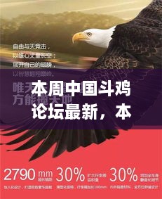 科技引领新风尚，本周中国斗鸡论坛焦点与全新高科技斗鸡装备体验