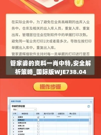 管家婆的资料一肖中特,安全解析策略_国际版WJE738.04