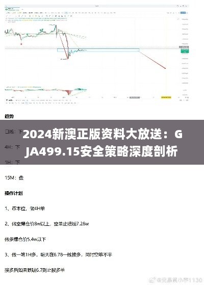 2024新澳正版资料大放送：GJA499.15安全策略深度剖析