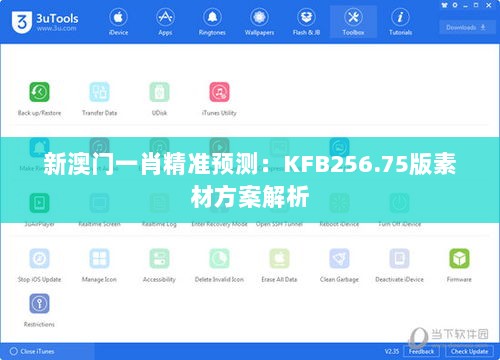 新澳门一肖精准预测：KFB256.75版素材方案解析