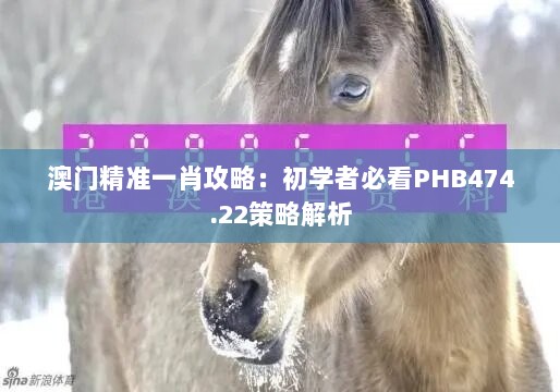 澳门精准一肖攻略：初学者必看PHB474.22策略解析