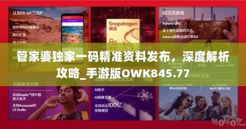 管家婆独家一码精准资料发布，深度解析攻略_手游版OWK845.77