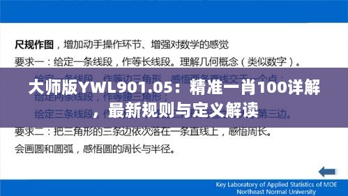 大师版YWL901.05：精准一肖100详解，最新规则与定义解读