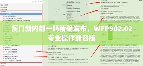 澳门新内部一码精确发布，WFP902.02专业操作兼容版