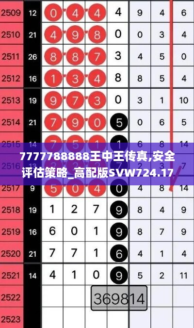 7777788888王中王传真,安全评估策略_高配版SVW724.17