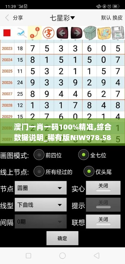 澳门一肖一码100%精准,综合数据说明_稀有版NIW978.58