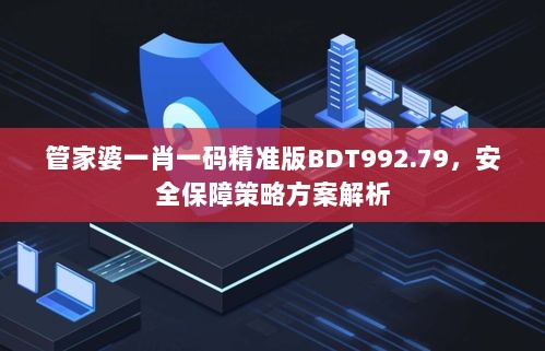 管家婆一肖一码精准版BDT992.79，安全保障策略方案解析