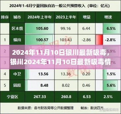 2024年11月10日银川最新吸毒情况分析与探讨