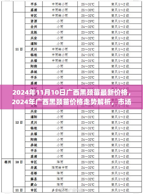 2024年广西黑颈苗价格走势解析与市场动态价值评估