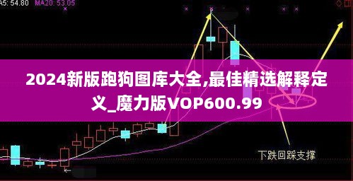 2024新版跑狗图库大全,最佳精选解释定义_魔力版VOP600.99