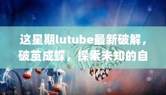 探索未知的自信与成就感，本周最新破解的lutube