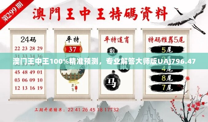 澳门王中王100%精准预测，专业解答大师版UAJ796.47