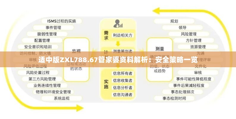 适中版ZXL788.67管家婆资料解析：安全策略一览