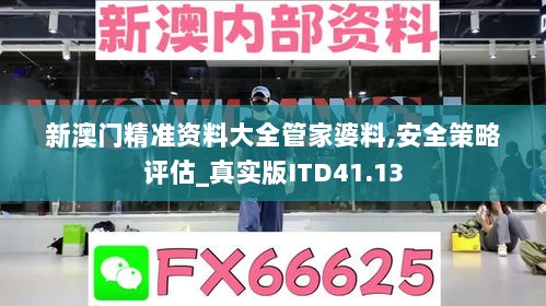 新澳门精准资料大全管家婆料,安全策略评估_真实版ITD41.13