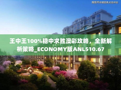 王中王100%稳中求胜澳彩攻略，全新解析策略_ECONOMY版ANL510.67