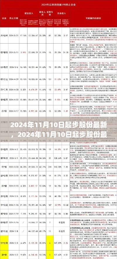 2024年11月10日起步股份最新，从入门到精通的步骤指南