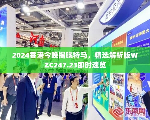 2024香港今晚揭晓特马，精选解析版WZC247.23即时速览